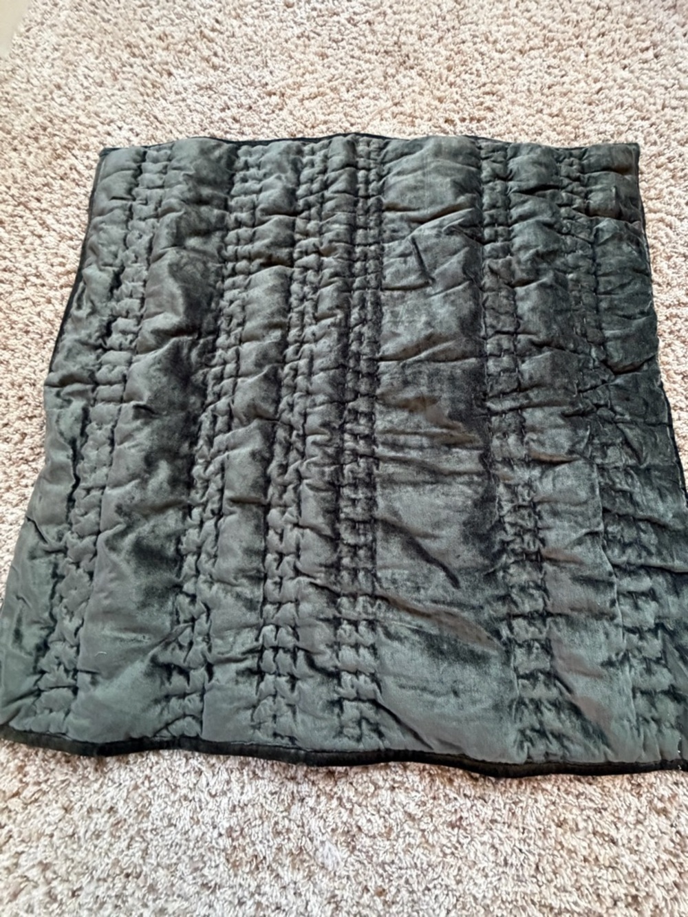 New Anthropologie lustered velvet alastair euro sham cover dark green gray - Picture 4 of 11